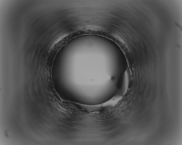 X0000096731112200802121308