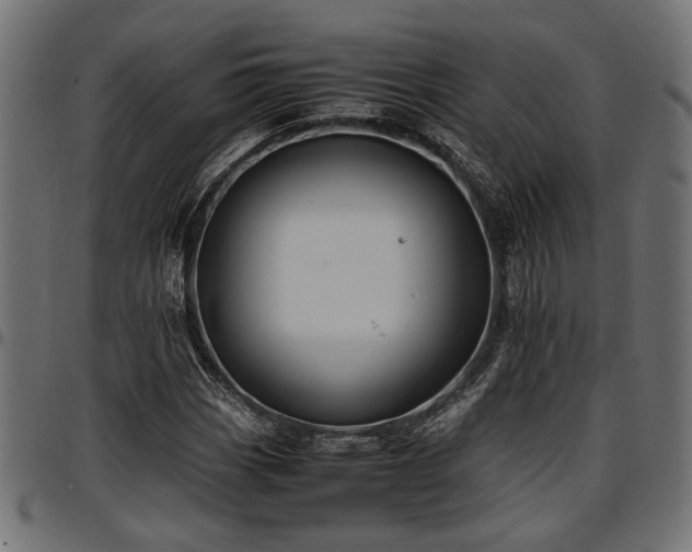 X0000096731113200802121308