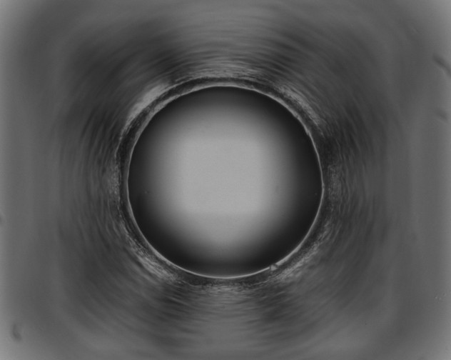 X0000096731114200802121308