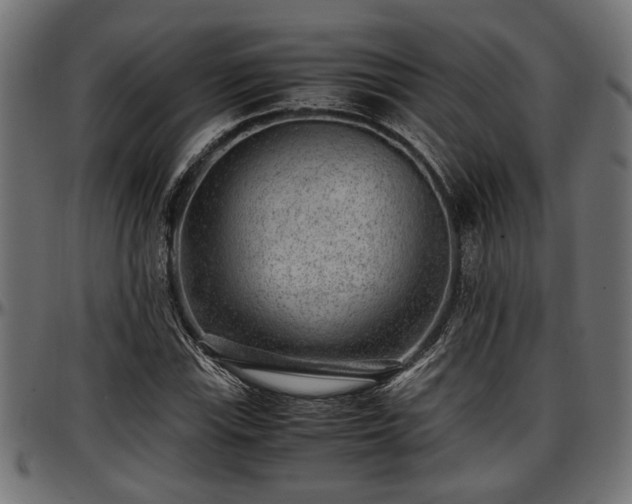 X0000096731115200802121308