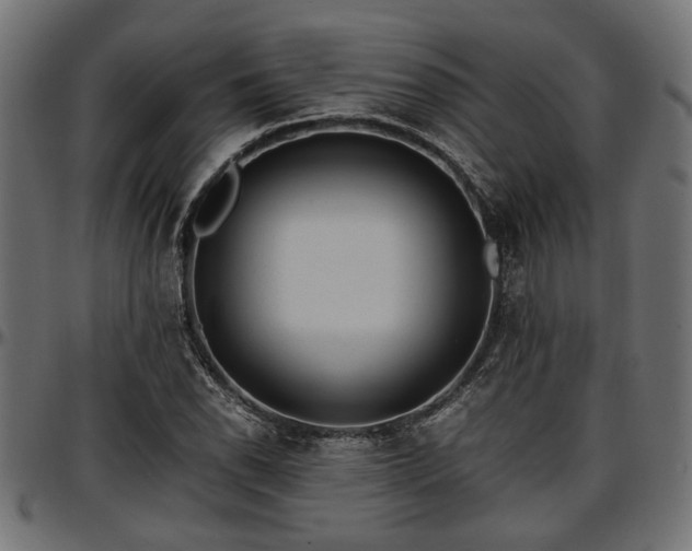 X0000096731118200802121308