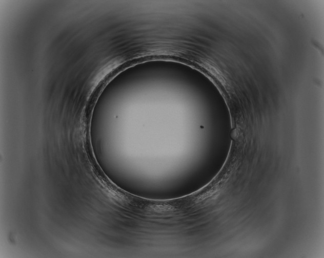 X0000096731119200802121308