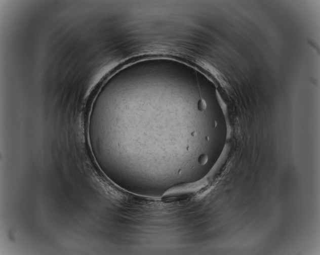 X0000096731120200802121308