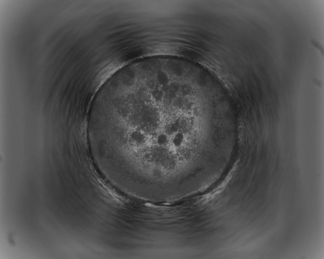 X0000096731121200802121308