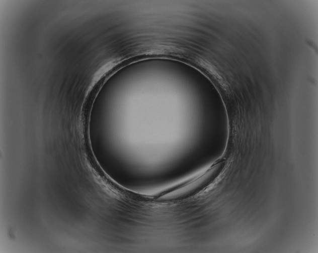 X0000096731122200802121308