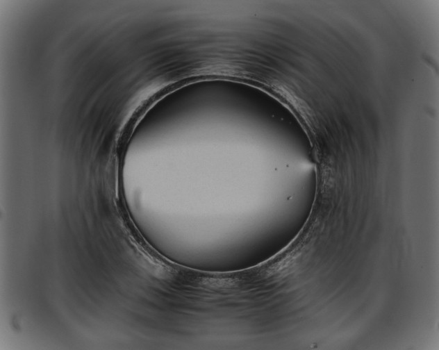 X0000096731123200802121308