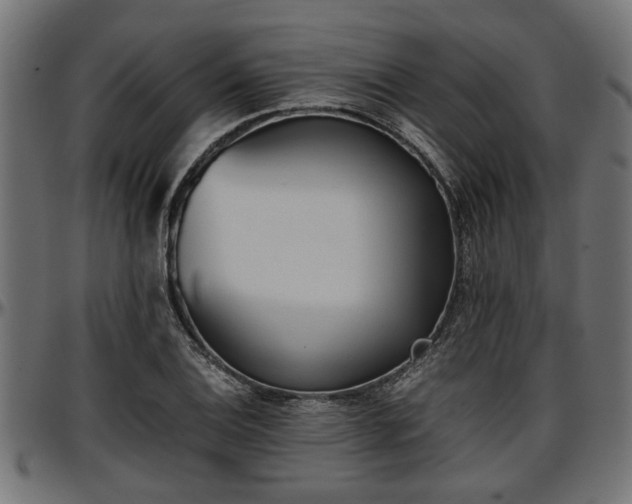 X0000096731124200802121308