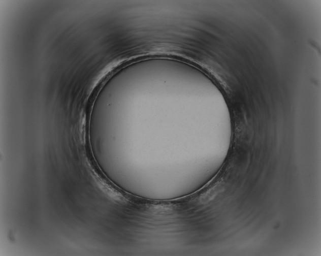 X0000096731126200802121308
