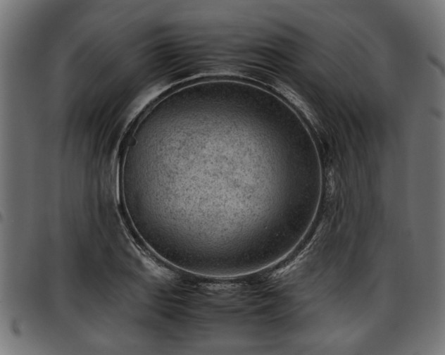 X0000096731127200802121308