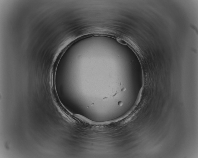 X0000096731128200802121308