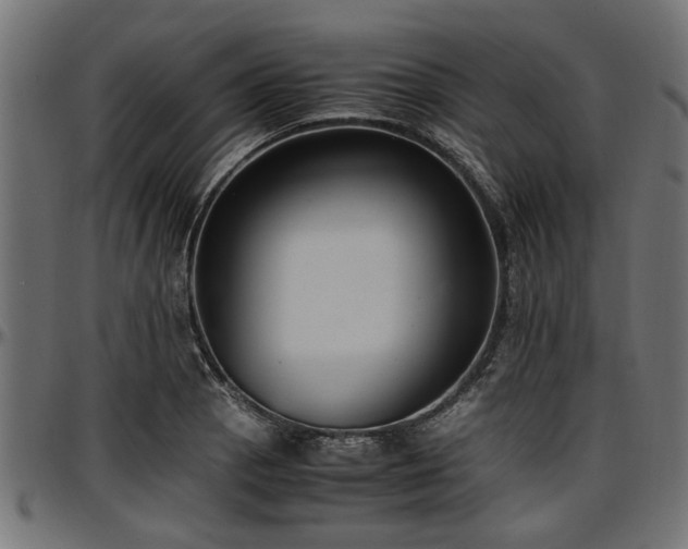 X0000096731129200802121308