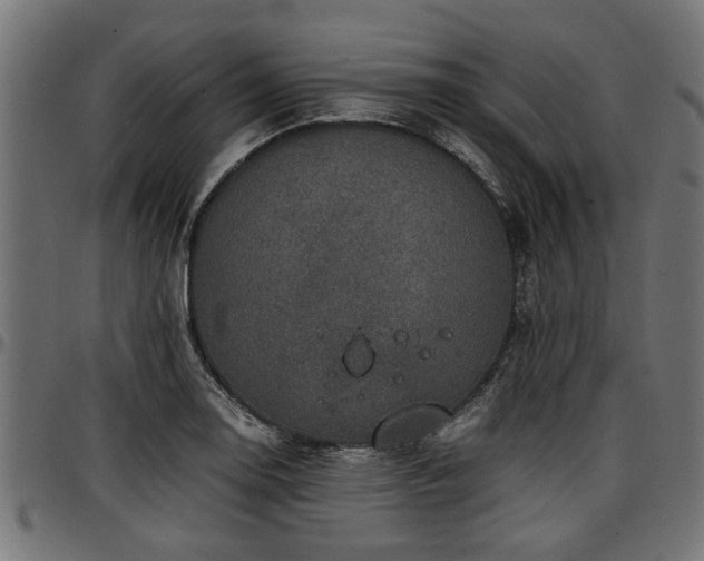 X0000096731130200802121308