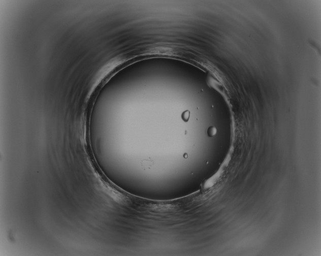 X0000096731131200802121308