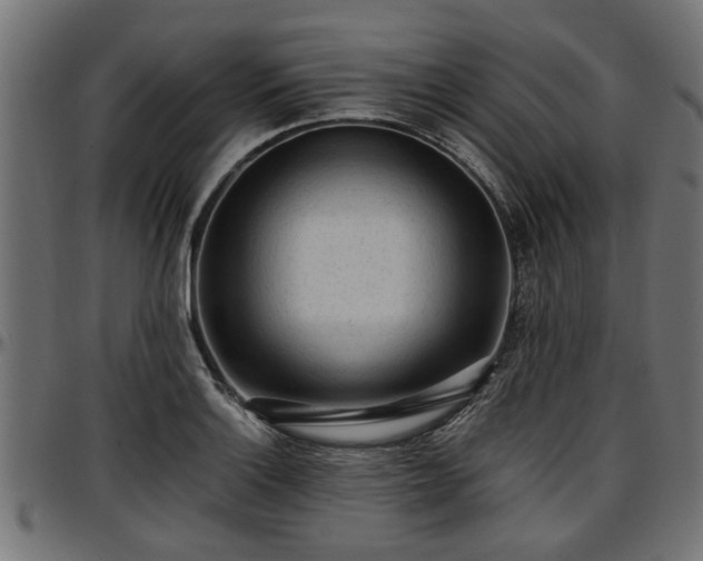 X0000096731132200802121308