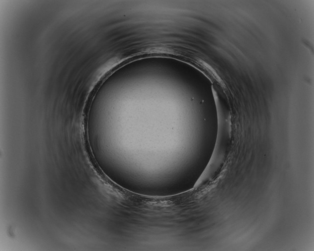 X0000096731133200802121308