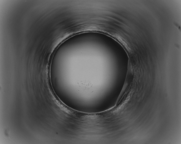 X0000096731134200802121308