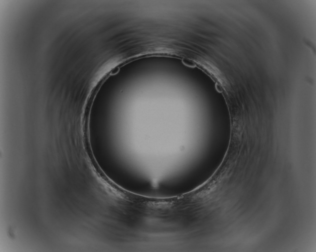 X0000096731135200802121308