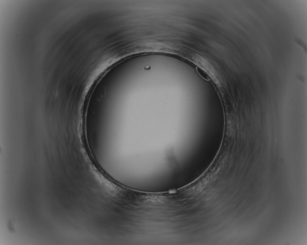 X0000096731136200802121308