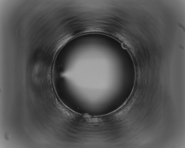 X0000096731137200802121308