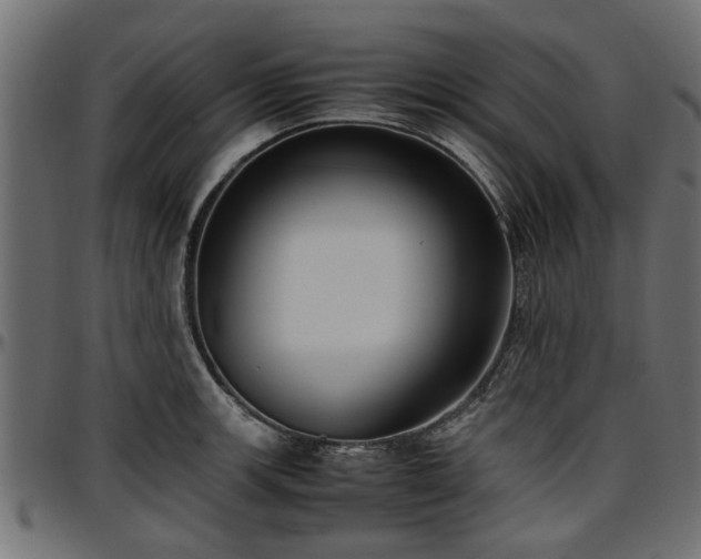 X0000096731139200802121308