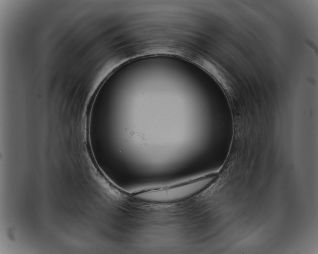 X0000096731140200802121308