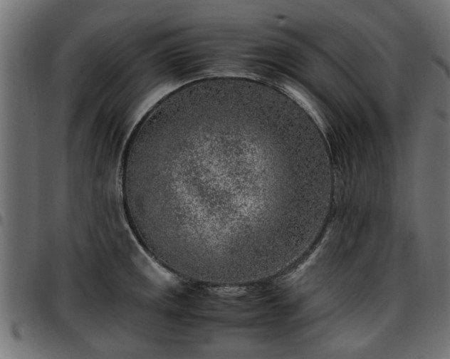 X0000096731141200802121308