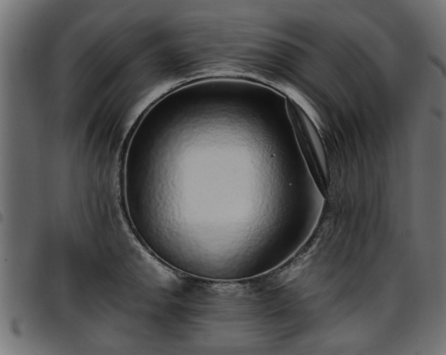 X0000096731142200802121308