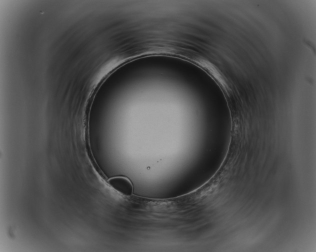 X0000096731143200802121308