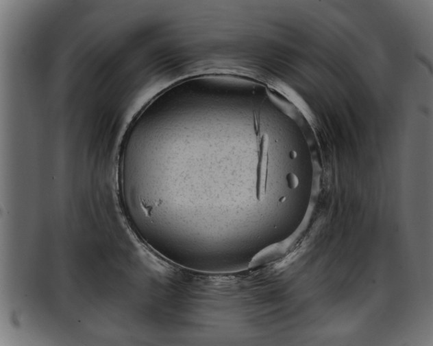 X0000096731144200802121308