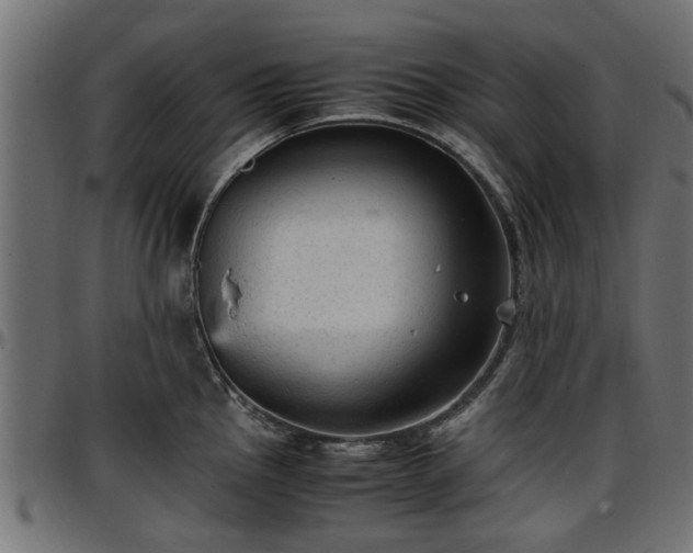 X0000096731145200802121308