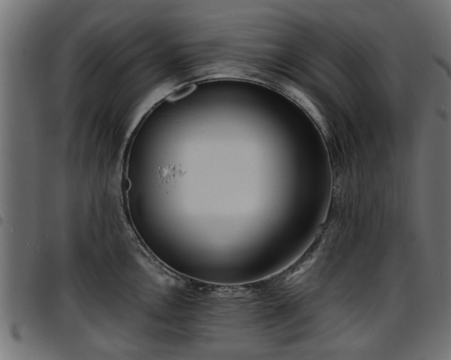 X0000096731146200802121308
