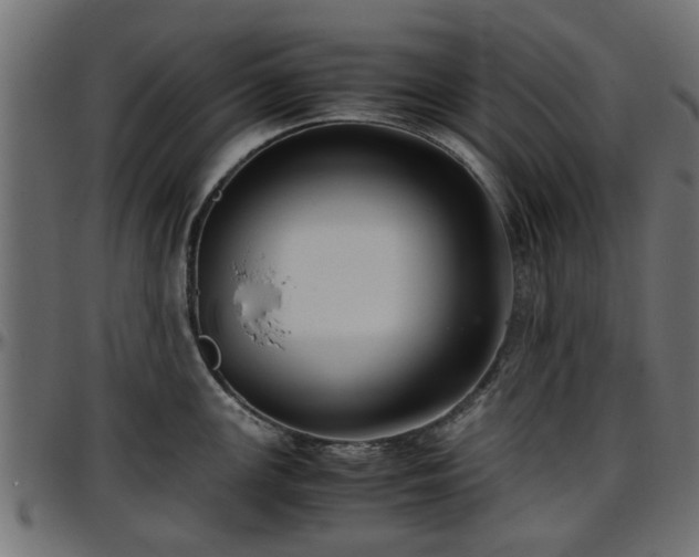 X0000096731147200802121308