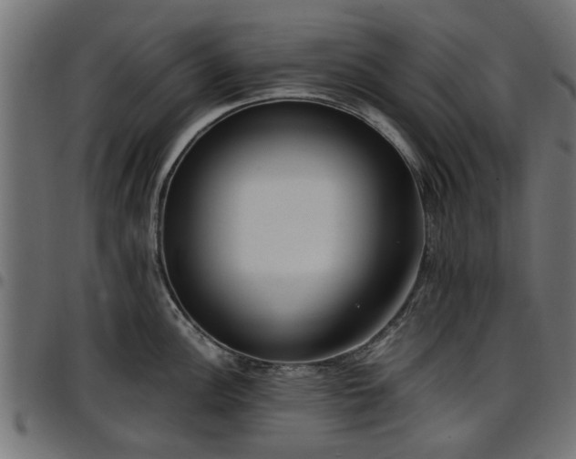 X0000096731148200802121308