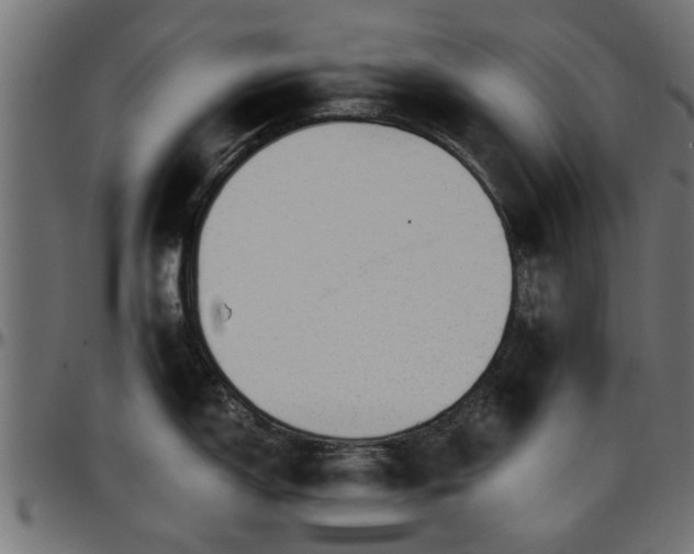 X0000096731150200802121308