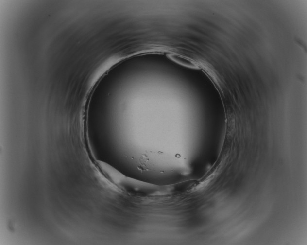 X0000096731151200802121308