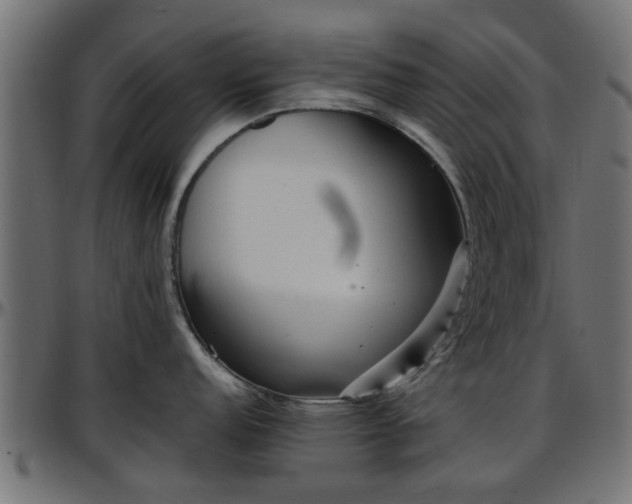 X0000096731152200802121308