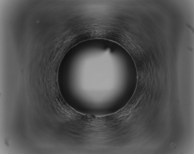 X0000096731153200802121307