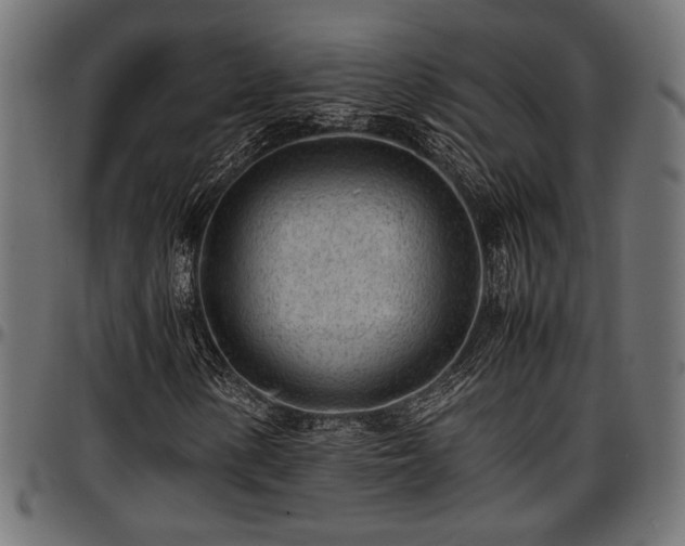 X0000096731154200802121307