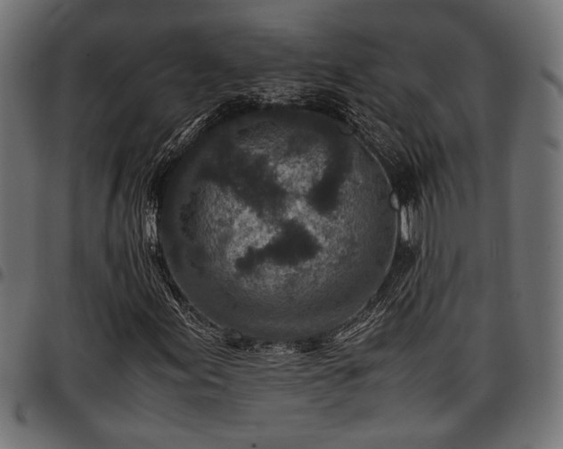 X0000096731155200802121307