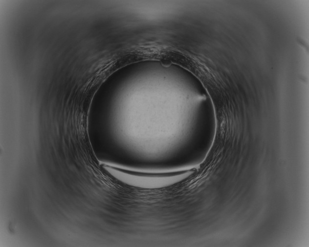 X0000096731156200802121307
