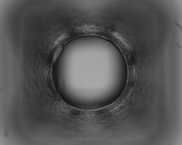 X0000096731157200802121307