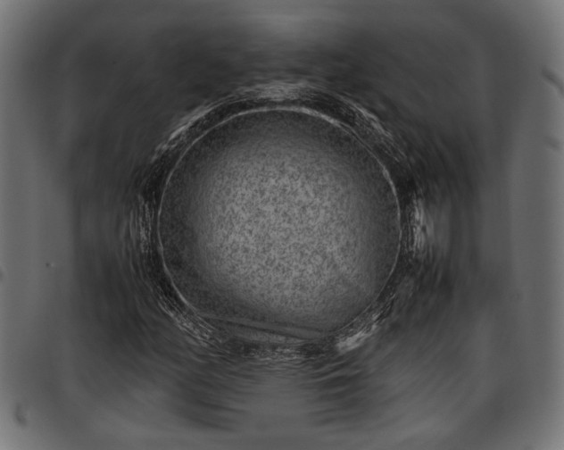 X0000096731158200802121307