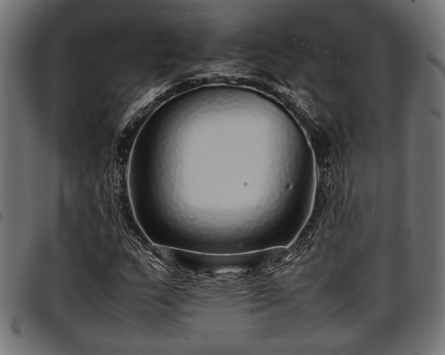 X0000096731159200802121307