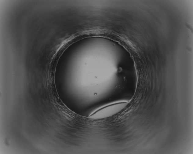 X0000096731160200802121307