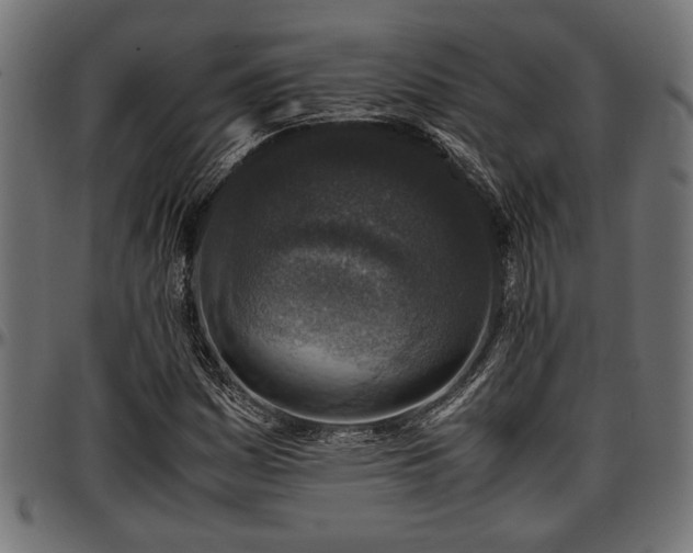 X0000096731161200802121307