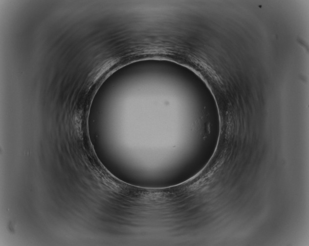 X0000096731162200802121307