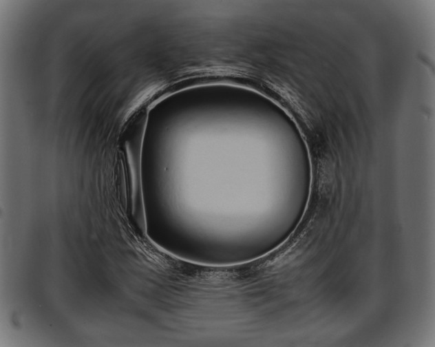 X0000096731163200802121307