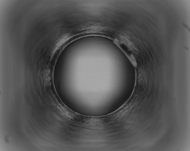 X0000096731164200802121307