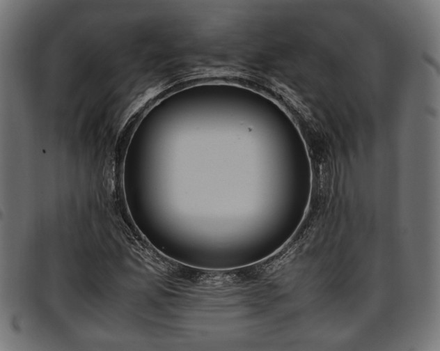 X0000096731165200802121307