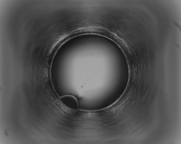 X0000096731166200802121307
